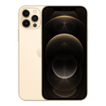 iPhone 12 Pro Max custom phone case