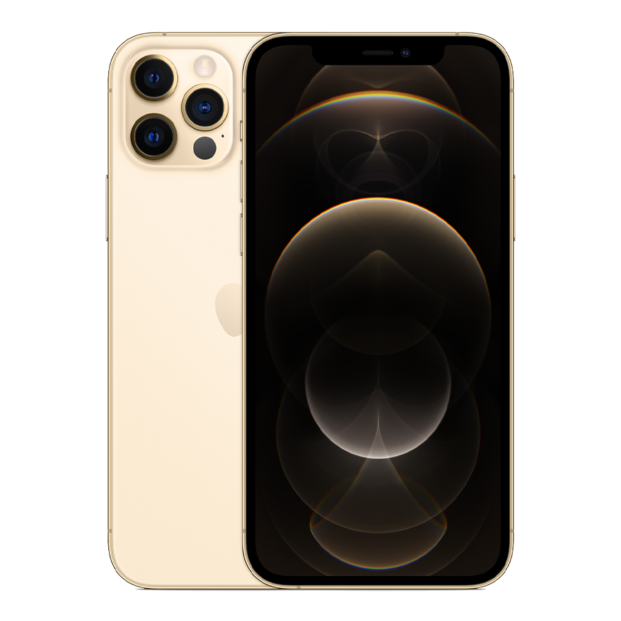 iPhone 12 Pro Max custom phone case